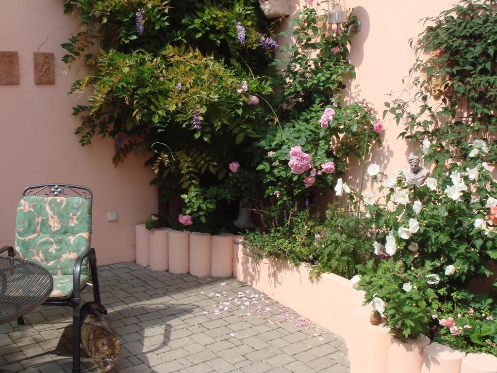 Haus Am Markt Königstein in der Oberpfalz Extérieur photo