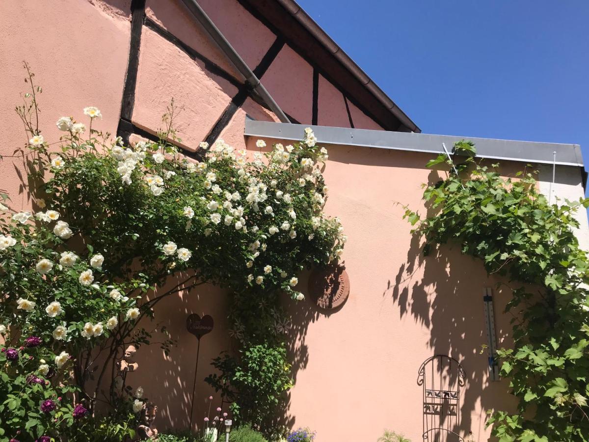 Haus Am Markt Königstein in der Oberpfalz Extérieur photo